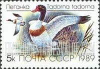 FindYourStampsValue: Russia: USSR, Ducks - Tadorna Tadorna