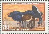 FindYourStampsValue: Russia: USSR, Fauna - Black Grouse