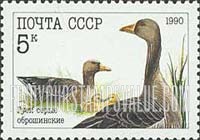 FindYourStampsValue: Russia: USSR, Poultry - Obroshinsky Geese