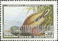 FindYourStampsValue: Russia: USSR, Fauna - Mallard