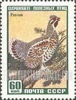 FindYourStampsValue: Russia: USSR, Animals - Hazel Hen