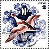 FindYourStampsValue: Russia: USSR, Oceanexpo'75 - Emblem and Sea Duck, Arctic Sea