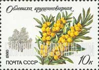 FindYourStampsValue: Russia: USSR, Flora - Sea Bucthorn