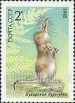 FindYourStampsValue: Russia: USSR, Endangered Wildlife - Sorex Bucharensis