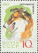 FindYourStampsValue: Russia: USSR, Dogs - Collie