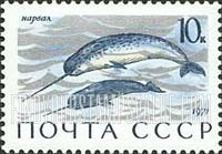 FindYourStampsValue: Russia: USSR, Sea Mammals - Narwhals