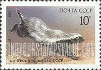 FindYourStampsValue: Russia: USSR, Fauna - Bald Badger