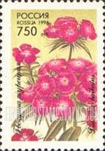 FindYourStampsValue: Russia: Russian Federation, Flowers - Dianthus Barbatus