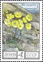 FindYourStampsValue: Russia: USSR, Regional Flowers - Polar Poppies, Taiga