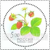 FindYourStampsValue: Russia: Russian Federation, Fruit - Strawberries