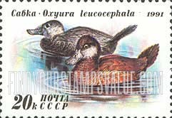 FindYourStampsValue: Russia: USSR, Ducks - Oxyura Luecocephala