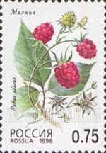FindYourStampsValue: Russia: Russian Federation, Wild Berries - Rubus Idaeus
