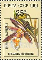FindYourStampsValue: Russia: USSR, Orchids - Epipactis Palustris