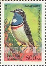 FindYourStampsValue: Russia: Russian Federation, Songbirds - Cyanosylvia Svecica