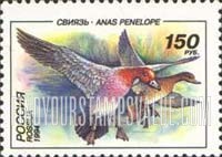 FindYourStampsValue: Russia: Russian Federation, Ducks - Anas Penelope