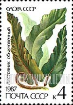 FindYourStampsValue: Russia: USSR, Ferns - Scolopendrium Vulgare