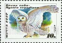 FindYourStampsValue: Russia: USSR, Owls - Nyctea Scandiaca