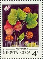 FindYourStampsValue: Russia: USSR, Wild Berries - Blackberries