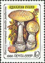 FindYourStampsValue: Russia: USSR, Toadstools - Amanita Pantherina