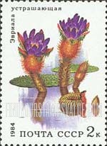 FindYourStampsValue: Russia: USSR, Aquatic Plants - Euriola