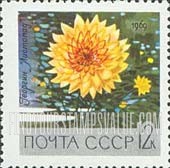 FindYourStampsValue: Russia: USSR, Work of the Botanical Gardens of the Academy of Sciences - Listopad Dahlia