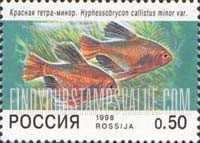 FindYourStampsValue: Russia: Russian Federation, Aquarium Fish - Hyphessobrycon Callistus