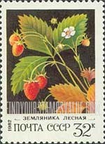 FindYourStampsValue: Russia: USSR, Wild Berries - Strawberries