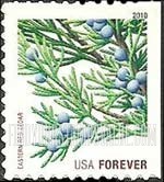 FindYourStampsValue: CHRISTMAS - Eastern Red Cedar, Self-Adhesive Booklet stamp