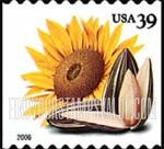 FindYourStampsValue: CROPS OF THE AMERICAS - Sunflower and Seeds, Self-Adhesive Coil Stamp