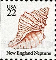 FindYourStampsValue: SEASHELLS - New England neptune, booklet stamp