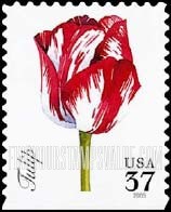 FindYourStampsValue: SPRING FLOWERS - Tulip, Self-Adhesive Booklet stamp