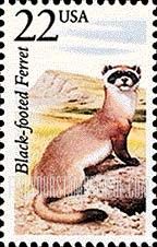 FindYourStampsValue: BLACK-FOOTED FERRET - North American Wildlife