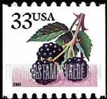 FindYourStampsValue: BERRIES - Blackberries, Self-Adhesive Coil stamp
