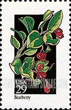FindYourStampsValue: WILDFLOWERS - Bearberry
