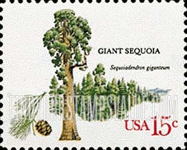 FindYourStampsValue: AMERICAN TREES - Giant Sequoia