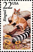 FindYourStampsValue: RINGTAIL - North American Wildlife