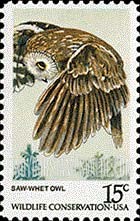 FindYourStampsValue: AMERICAN OWLS - Saw-whet owl
