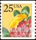 FindYourStampsValue: HONEYBEE, Coil Stamp