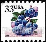 FindYourStampsValue: BERRIES - Blueberries, Self-Adhesive Coil stamp