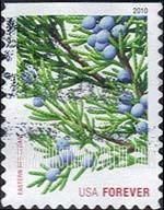 FindYourStampsValue: CHRISTMAS - Eastern Red Cedar, Self-Adhesive Booklet stamp