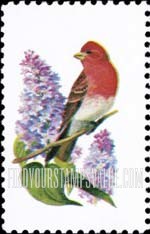 FindYourStampsValue: NEW HAMPSHIRE - State Birds and Flowers