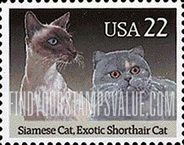 FindYourStampsValue: CATS - Siamese and Exotic Shorthair
