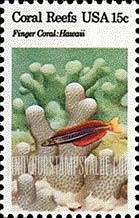 FindYourStampsValue: CORAL REEFS - Finger coral, Sabertooth blenny