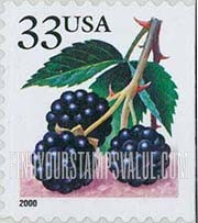 FindYourStampsValue: BERRIES - Blackberries, Self-Adhesive Stamp