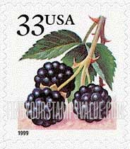FindYourStampsValue: BERRIES - Blackberries, Self-Adhesive booklet stamp