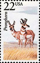 FindYourStampsValue: PRONGHORN - North American Wildlife