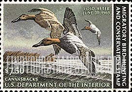 FindYourStampsValue: CANVASBACKS