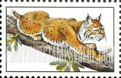 FindYourStampsValue: BOBCAT - Flora and Fauna