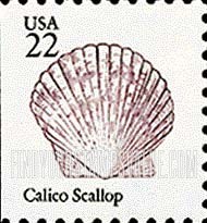 FindYourStampsValue: SEASHELLS - Calico scallop, booklet stamp
